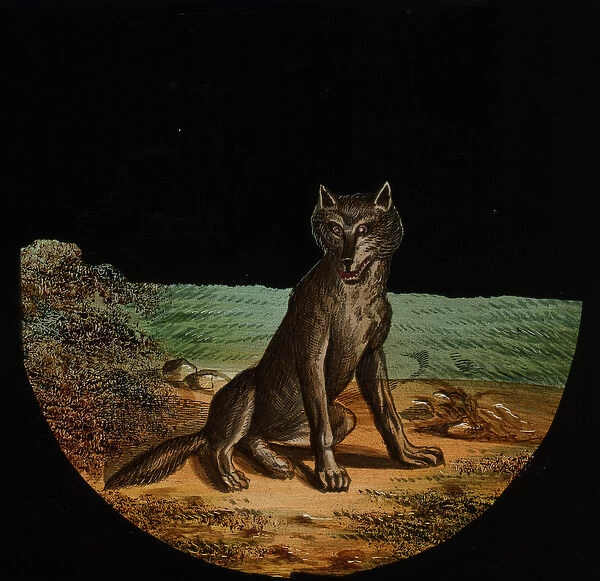 Illustration of a sitting wolf