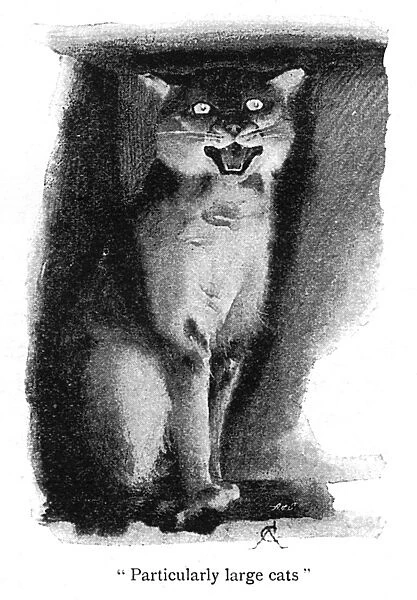 Illustration, a wild cat in a zoo