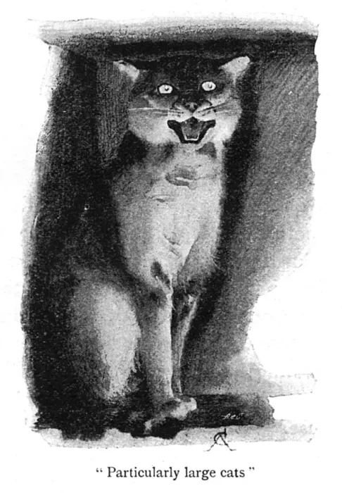 Framed Print : Illustration, a wild cat in a zoo Framed Print : Illustration, a wild cat in a zoo