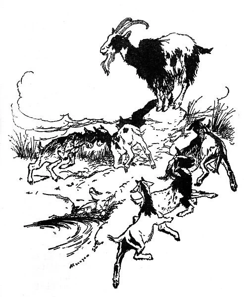 Illustration, The Wolf and Seven Kids