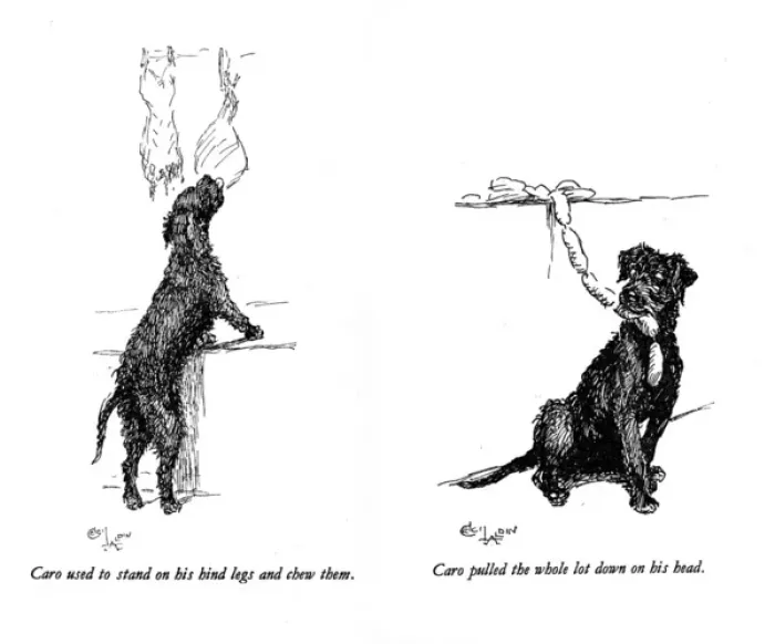 Framed Print : Illustrations of a black dog by Cecil Aldin Framed Print : Illustrations of a black dog by Cecil Aldin