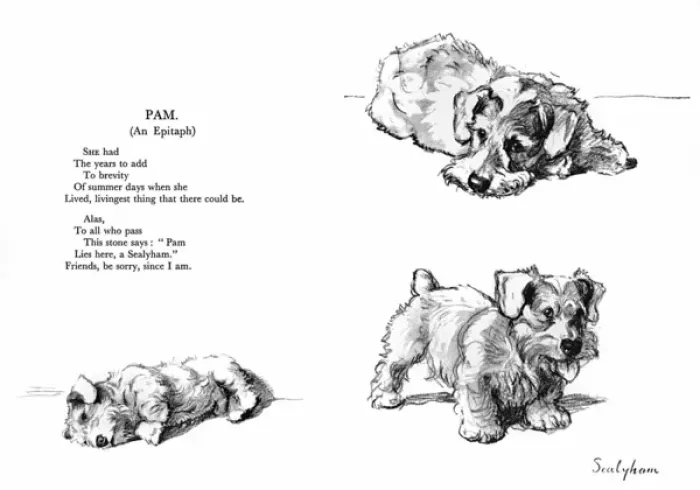 Framed Print : Illustrations of a Sealyham terrier by Cecil Aldin Framed Print : Illustrations of a Sealyham terrier by Cecil Aldin