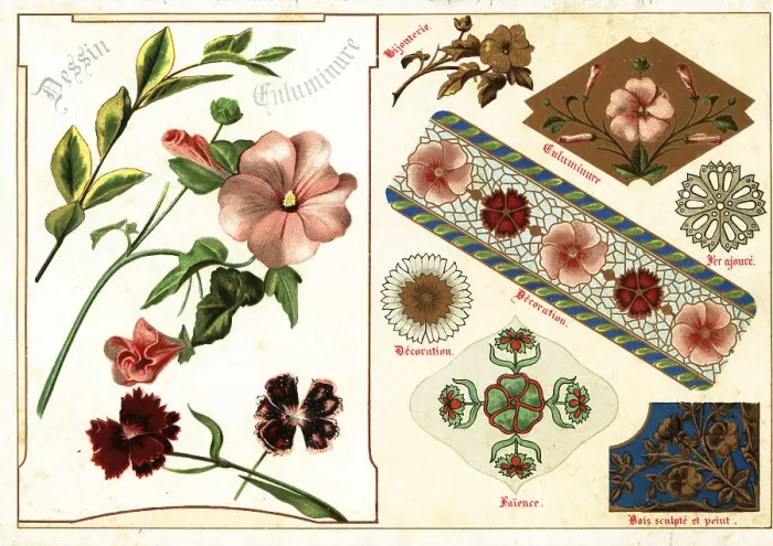 Framed Print : Image of mallow and China pink from an illuminated manuscript an Framed Print : Image of mallow and China pink from an illuminated manuscript an