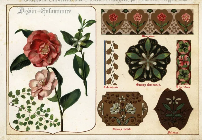 Framed Print : Images of camellias and orange flowers from manuscripts and thei Framed Print : Images of camellias and orange flowers from manuscripts and thei