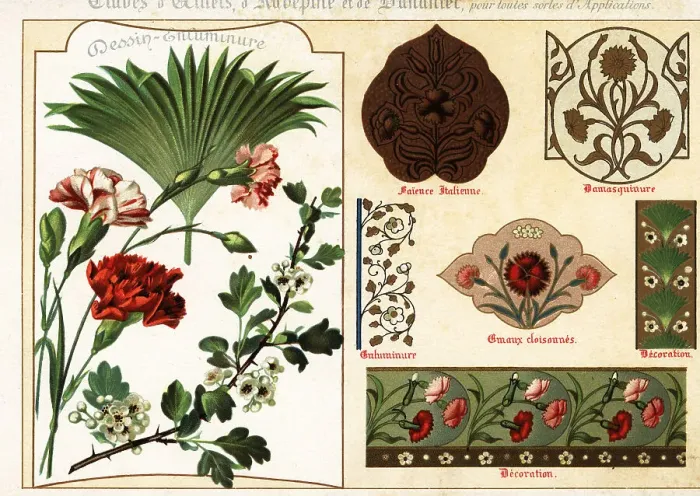 Framed Print : Images of carnations, hawthorn and palm leaves from manuscripts Framed Print : Images of carnations, hawthorn and palm leaves from manuscripts