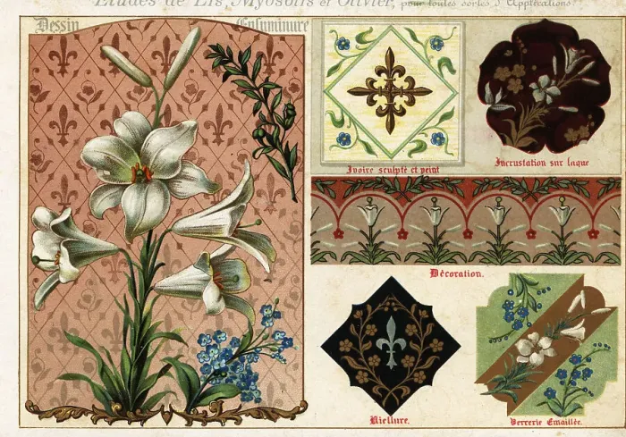 Framed Print : Images of lily, forget-me-not and olive from manuscripts Framed Print : Images of lily, forget-me-not and olive from manuscripts