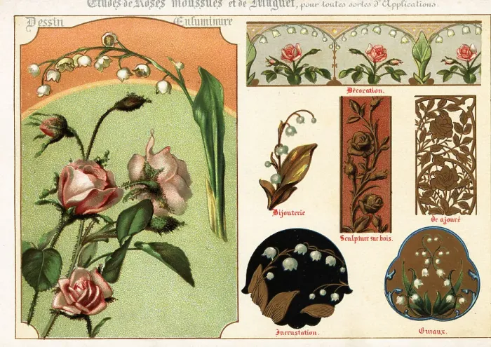 Framed Print : Images of moss rose and lily of the valley from manuscripts Framed Print : Images of moss rose and lily of the valley from manuscripts