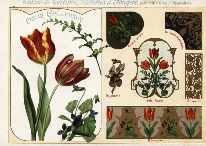 Framed Print : Images of tulips, violets and ferns from manuscripts and their a Framed Print : Images of tulips, violets and ferns from manuscripts and their a