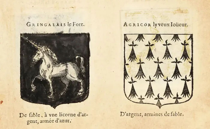 Framed Print : Imaginary coats of arms of Sir Gingalain and Agrior the Old Game Framed Print : Imaginary coats of arms of Sir Gingalain and Agrior the Old Game