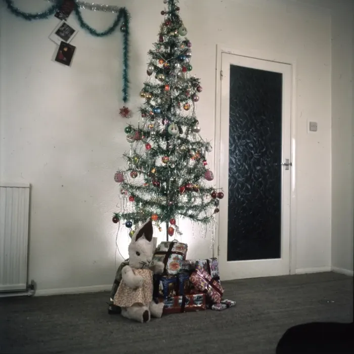 Framed Print : Imitation Xmas Tree Framed Print : Imitation Xmas Tree