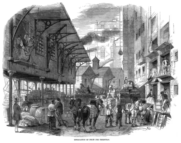 Framed Print : Importing Fruit at Docks Framed Print : Importing Fruit at Docks