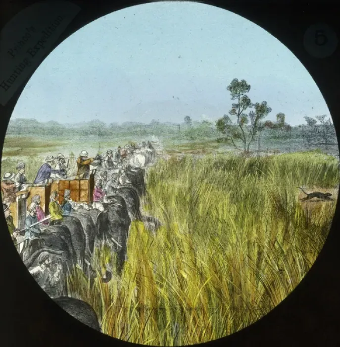 Framed Print : India - Big Game Hunting Framed Print : India - Big Game Hunting