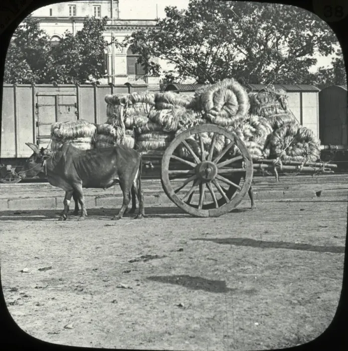 Framed Print : India - Country Cart Framed Print : India - Country Cart