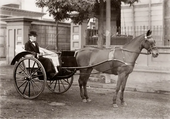 Framed Print : India - European man with a pony and trap