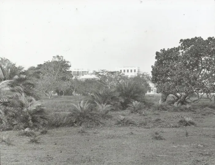 Framed Print : India - Government House from the Park, Madras Framed Print : India - Government House from the Park, Madras