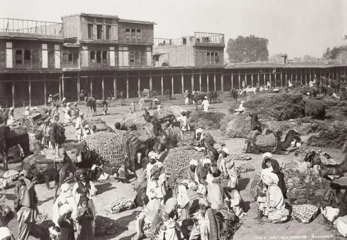 Framed Print : India - halt of a camel caravan, Peshawar, Khyber Pass Framed Print : India - halt of a camel caravan, Peshawar, Khyber Pass