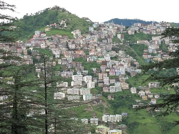 India, Himachal Pradesh, Shimla