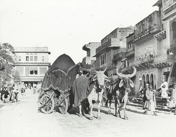 India - Merchante Street and canopied bullock carriage, Gwal