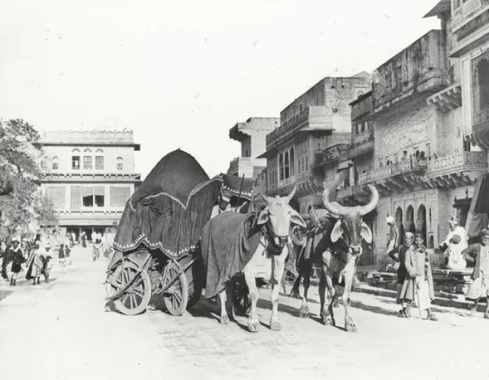 Framed Print : India - Merchante Street and canopied bullock carriage, Gwal Framed Print : India - Merchante Street and canopied bullock carriage, Gwal