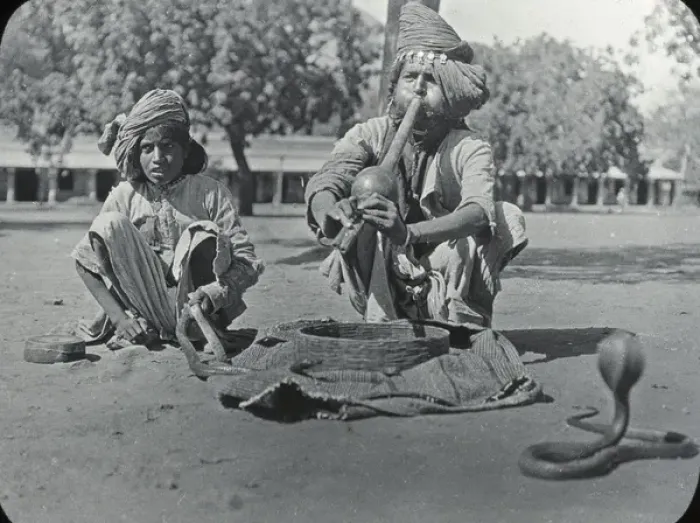 Framed Print : India - Snake Charmer and Cobras Framed Print : India - Snake Charmer and Cobras