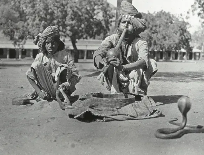 Framed Print : India - Snake-charmer and Cobras, Jeypore Framed Print : India - Snake-charmer and Cobras, Jeypore