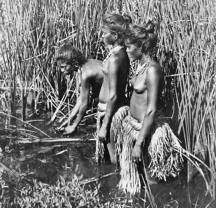 Framed Print : India Travancore Pariah Girls - pre-1900 Framed Print : India Travancore Pariah Girls - pre-1900