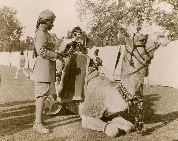 Indian Camel Ride