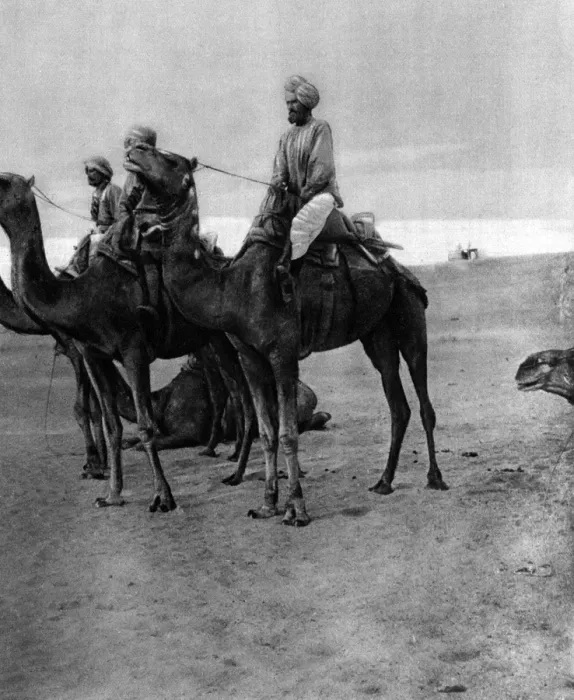 Framed Print : Indian camel sowars in Egypt during the First World War Framed Print : Indian camel sowars in Egypt during the First World War