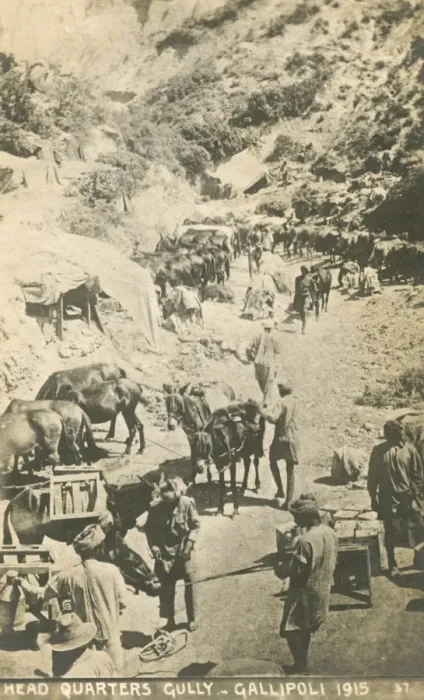 Framed Print : Indian (Commonwealth) troops at Gallipoli Framed Print : Indian (Commonwealth) troops at Gallipoli