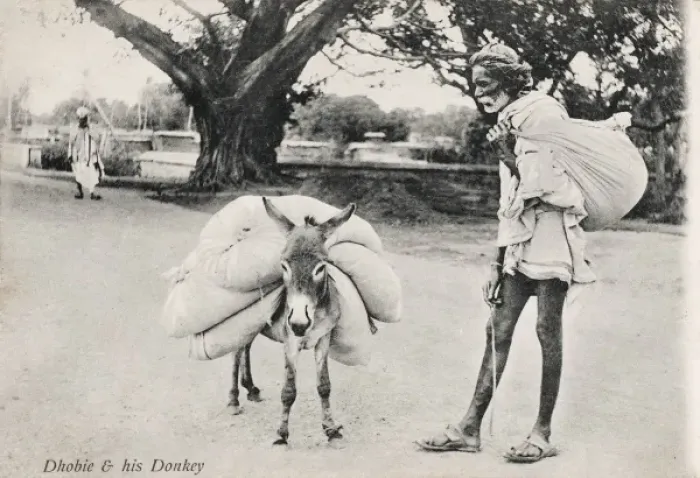 Framed Print : Indian Dhobie with his miniature donkey Framed Print : Indian Dhobie with his miniature donkey