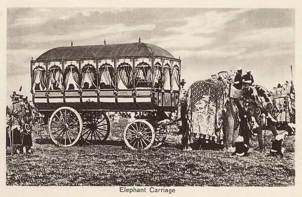 Indian Elephant Carriage - India