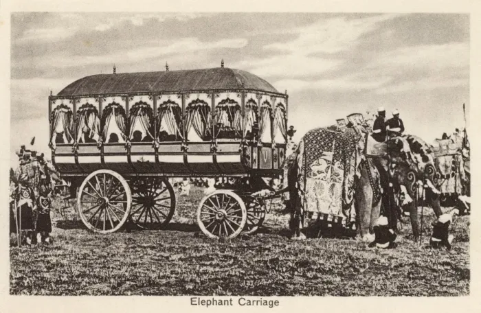 Framed Print : Indian Elephant Carriage - India Framed Print : Indian Elephant Carriage - India