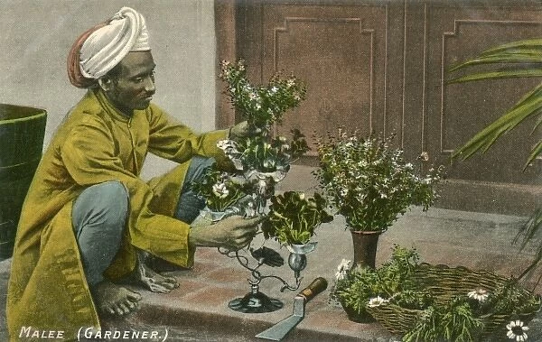 Indian Gardener