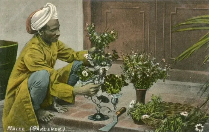 Framed Print : Indian Gardener Framed Print : Indian Gardener
