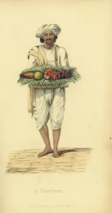Framed Print : Indian gardener in jacket and turban of white cotton Framed Print : Indian gardener in jacket and turban of white cotton