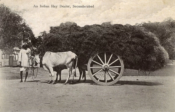 Indian hay dealer and cart, Secunderabad, India