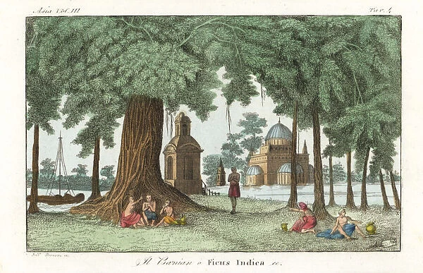 Indian men and women under an Indian banyan