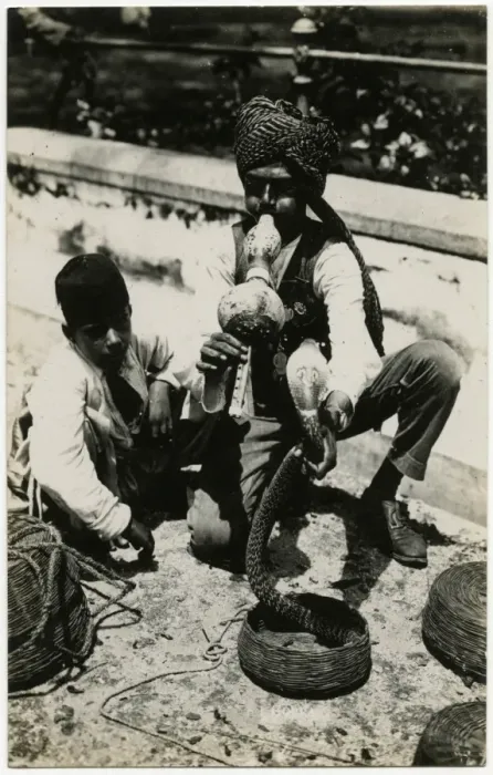 Framed Print : Indian Snake Carmer - Singapore, Malaysia Framed Print : Indian Snake Carmer - Singapore, Malaysia