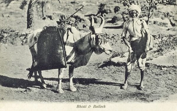 Indian Water Carrier and his Bullock, India