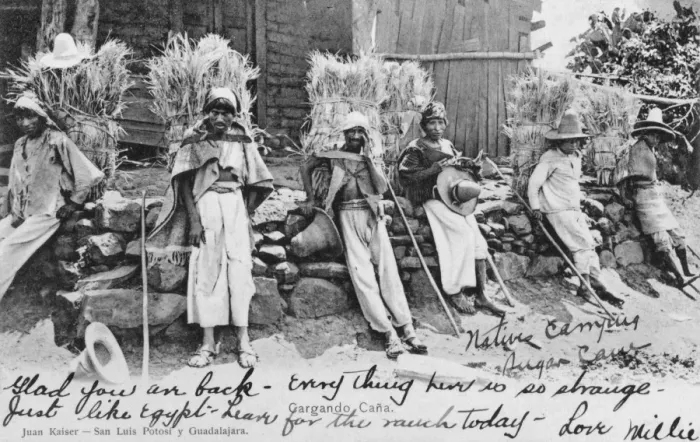 Framed Print : Indigenous Native Mexicans carrying Sugar Cane Framed Print : Indigenous Native Mexicans carrying Sugar Cane