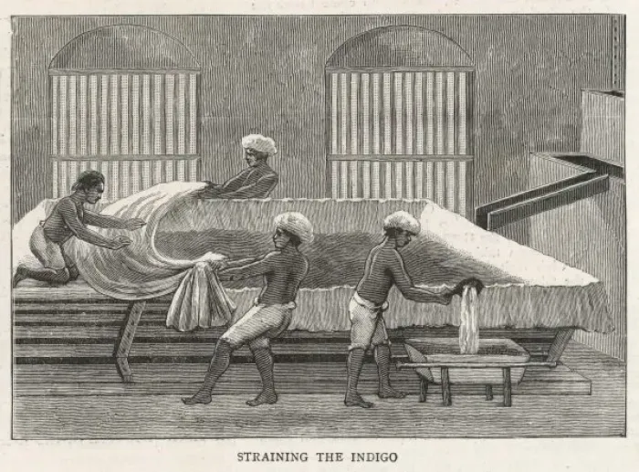Framed Print : Indigo Factory  /  India