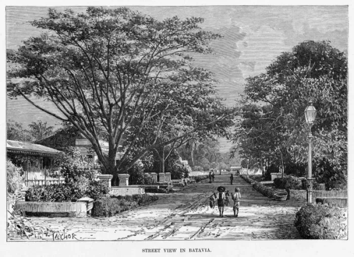 Framed Print : Indonesia Java Framed Print : Indonesia Java