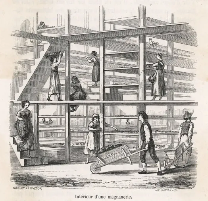 Framed Print : Industry / Textiles / Silk Framed Print : Industry / Textiles / Silk