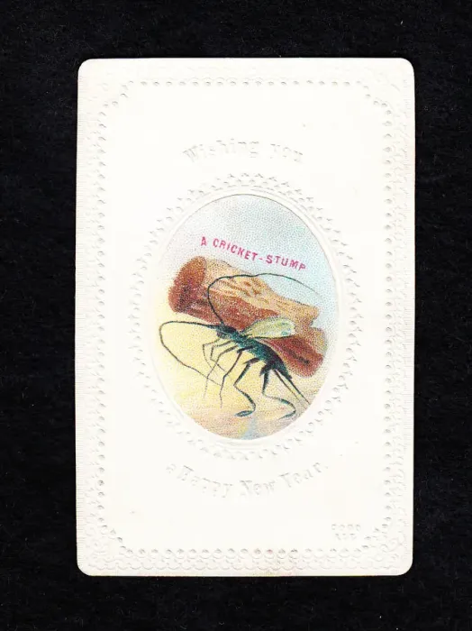 Framed Print : Insect carrying a stump on a New Year card Framed Print : Insect carrying a stump on a New Year card