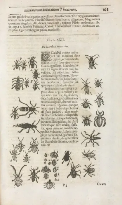 Framed Print : Insectorvum sive Minimorum Animalium Theatrvm, E. Wottono, C. G Framed Print : Insectorvum sive Minimorum Animalium Theatrvm, E. Wottono, C. G