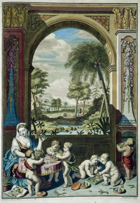 Framed Print : Insects, plants & shells against landscape Framed Print : Insects, plants & shells against landscape