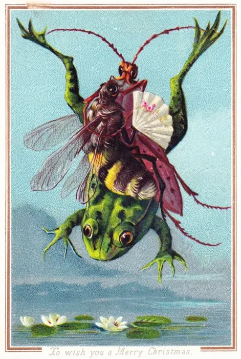 Framed Print : Insects riding on a frog on a Christmas card Framed Print : Insects riding on a frog on a Christmas card