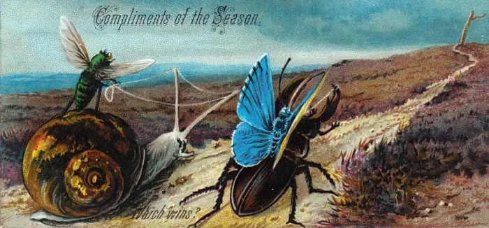 Framed Print : Three insects and a snail on a Christmas card Framed Print : Three insects and a snail on a Christmas card