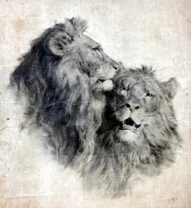 Framed Print : (insert) Framed Print : (insert)