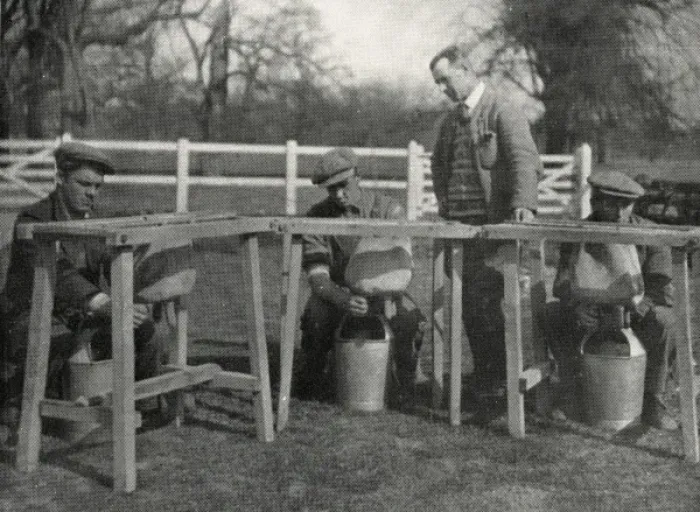 Framed Print : Instruction in milking at Claydon Training Centre, Suffolk Framed Print : Instruction in milking at Claydon Training Centre, Suffolk